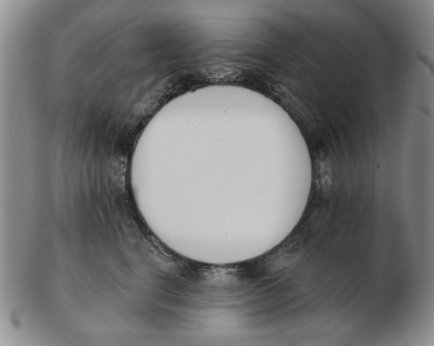 X0000102870664200809081207