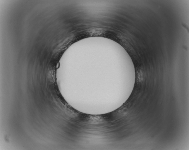 X0000102870666200809081207