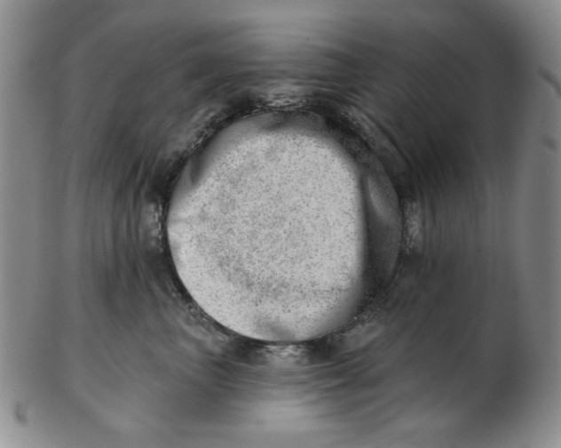 X0000102870667200809081207