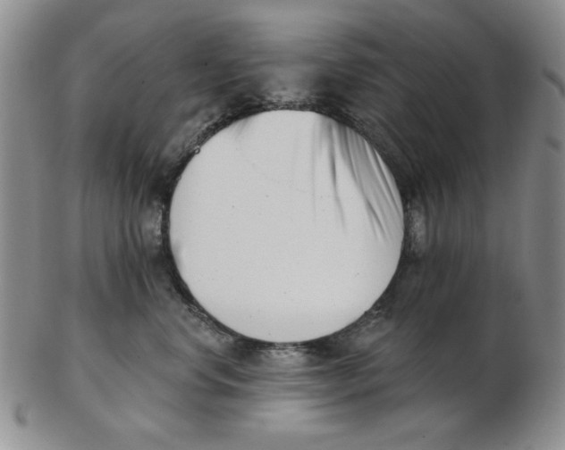 X0000102870668200809081207