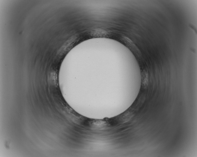 X0000102870669200809081207