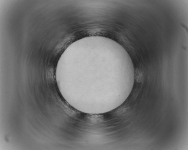 X0000102870670200809081207