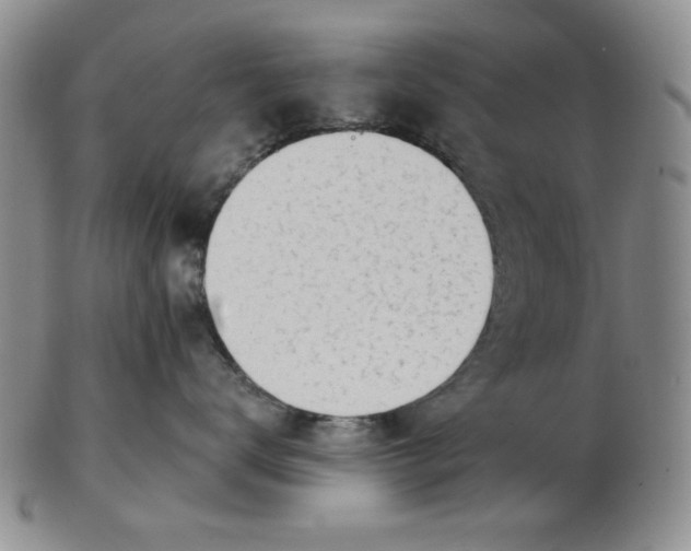 X0000102870672200809081207