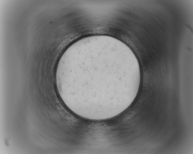 X0000102870673200809081206