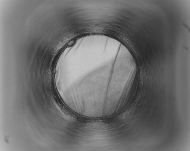 X0000102870674200809081206