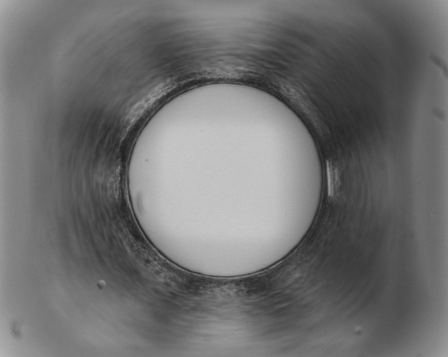 X0000102870675200809081206