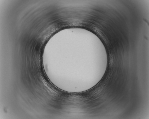 X0000102870677200809081206