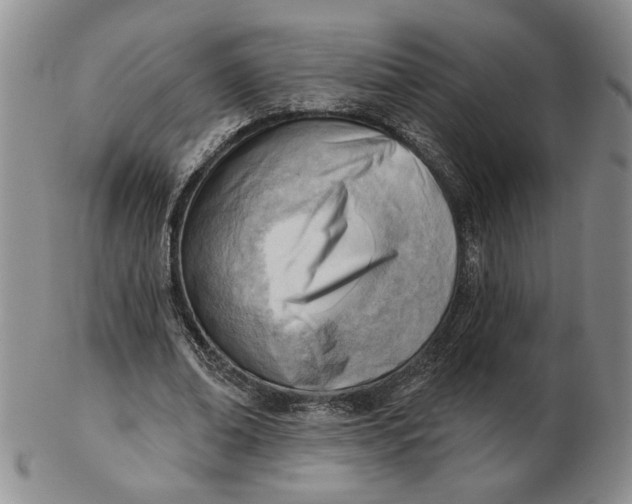 X0000102870678200809081206