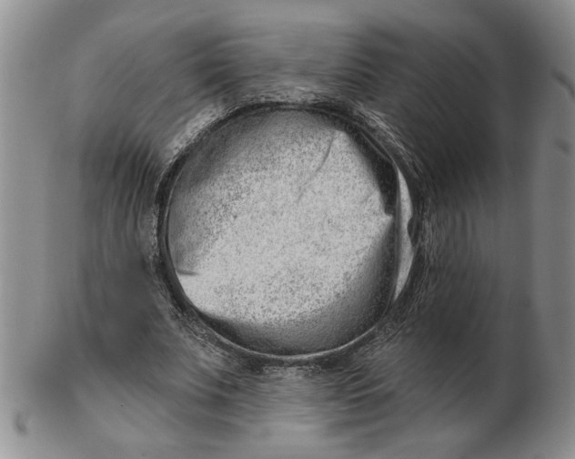 X0000102870679200809081206