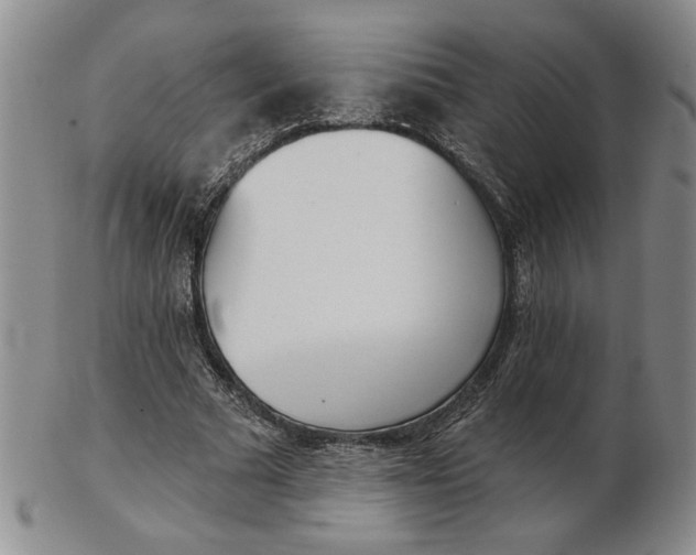 X0000102870681200809081206