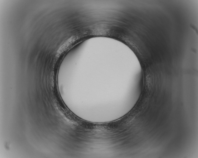 X0000102870682200809081206