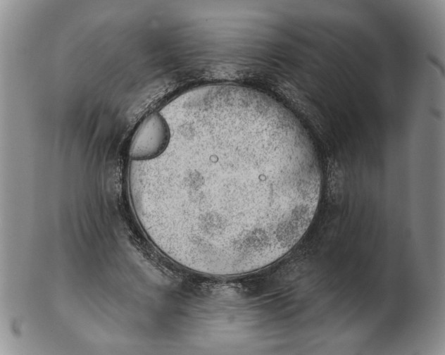 X0000102870683200809081206