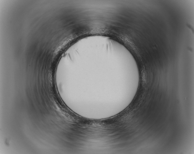 X0000102870684200809081206