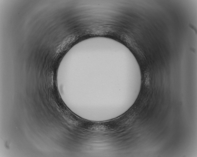 X0000102870685200809081206