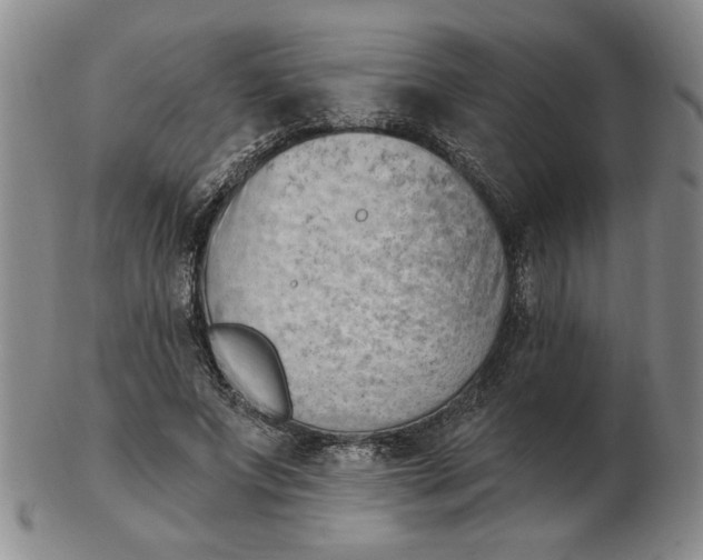 X0000102870687200809081206