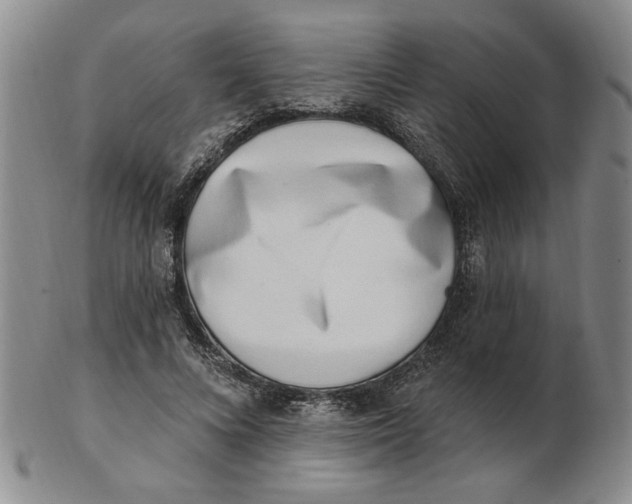 X0000102870688200809081206