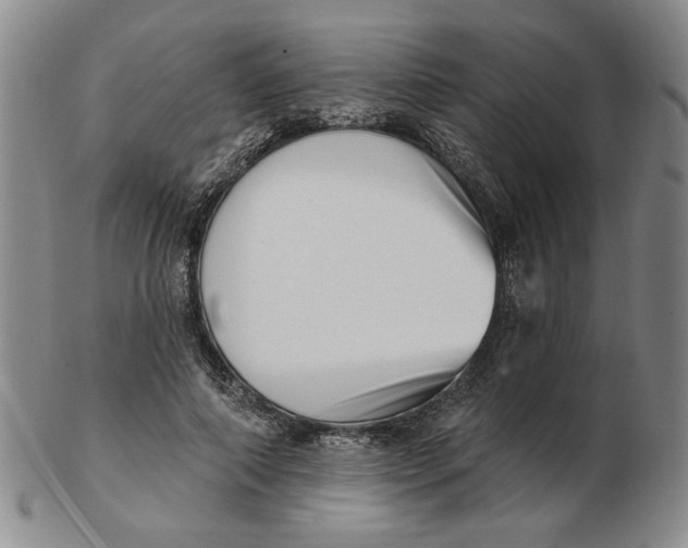 X0000102870690200809081206