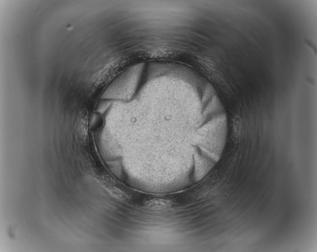 X0000102870691200809081206