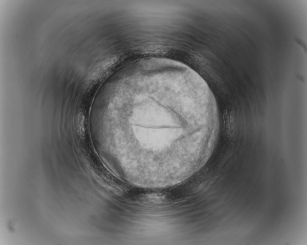 X0000102870692200809081206