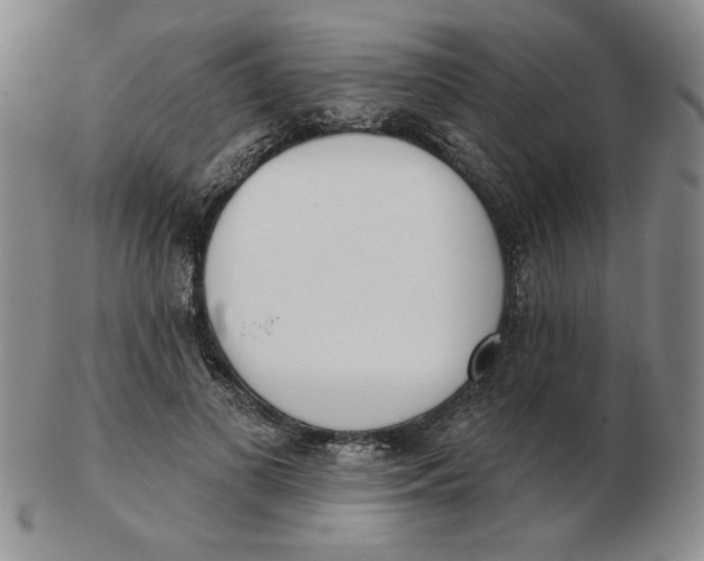 X0000102870693200809081206