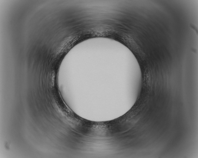 X0000102870694200809081206