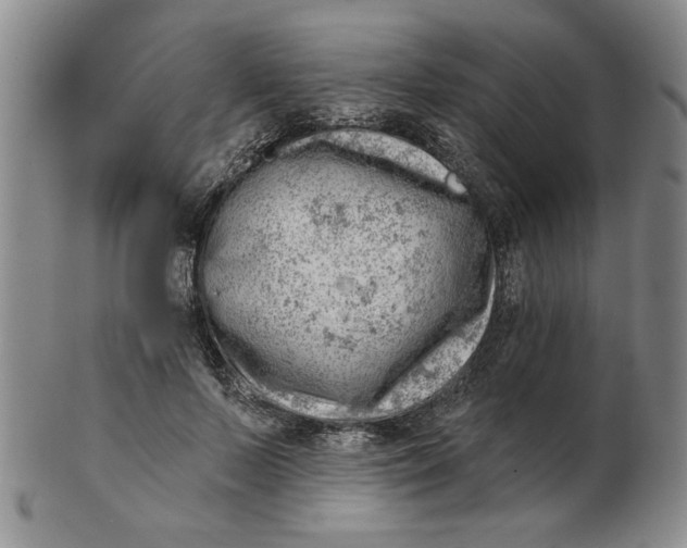 X0000102870695200809081206