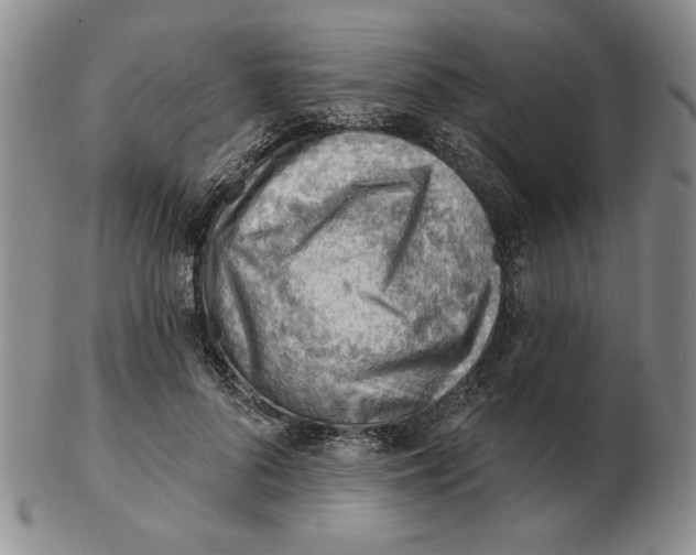 X0000102870696200809081206