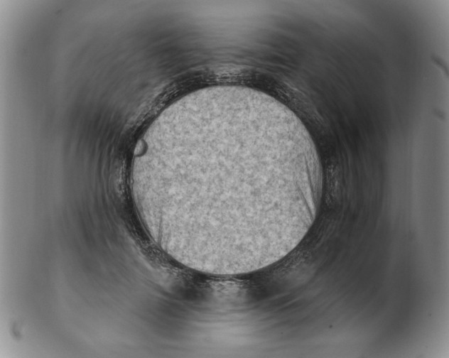 X0000102870698200809081206