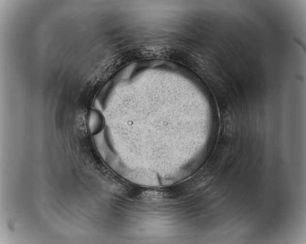 X0000102870699200809081206