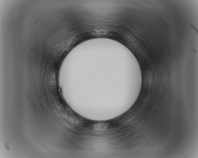 X0000102870700200809081206