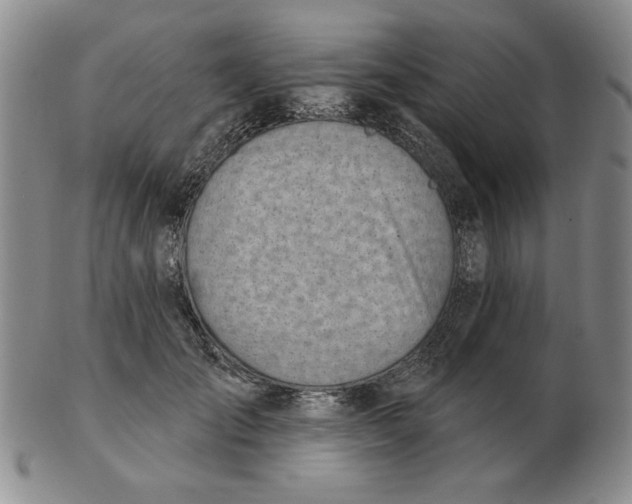 X0000102870701200809081206