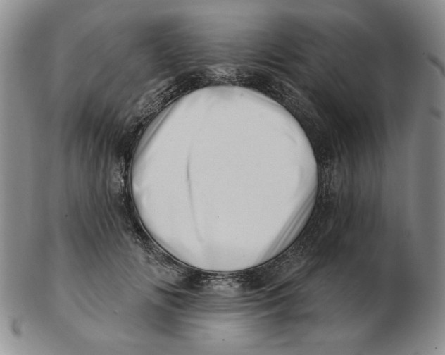 X0000102870702200809081206