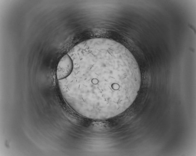 X0000102870703200809081206