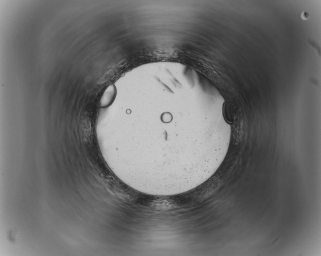 X0000102870704200809081206