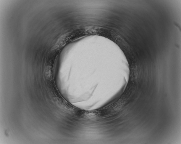 X0000102870706200809081206