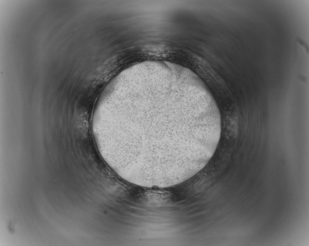 X0000102870707200809081206