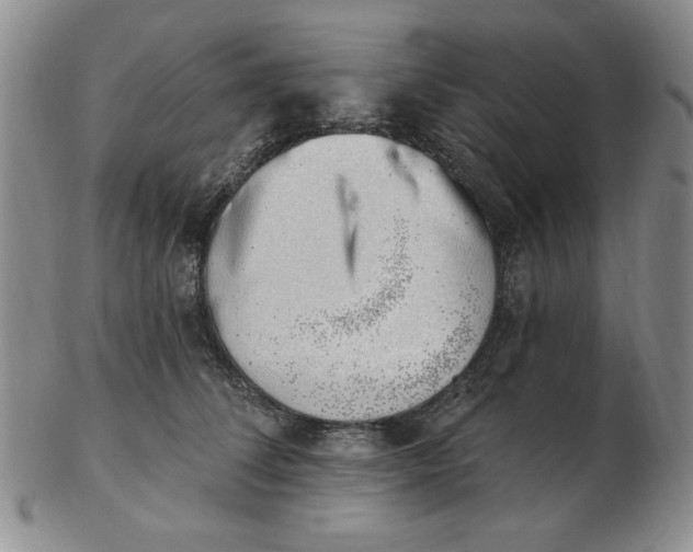 X0000102870708200809081206