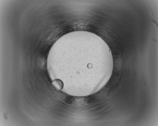 X0000102870709200809081206