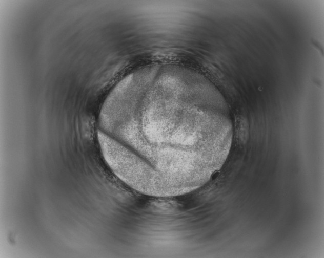 X0000102870712200809081206