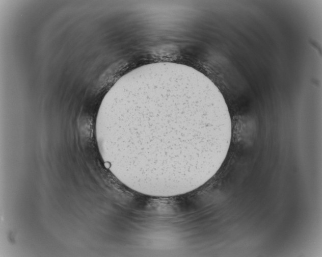 X0000102870713200809081206