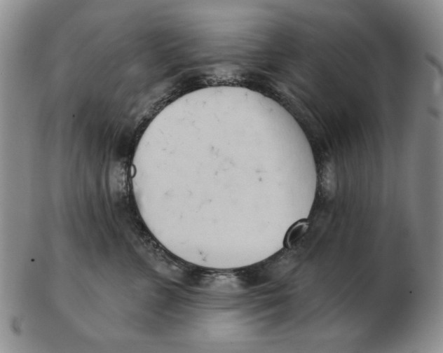 X0000102870715200809081206