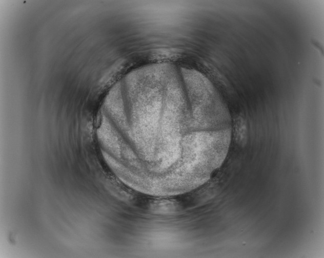 X0000102870716200809081206