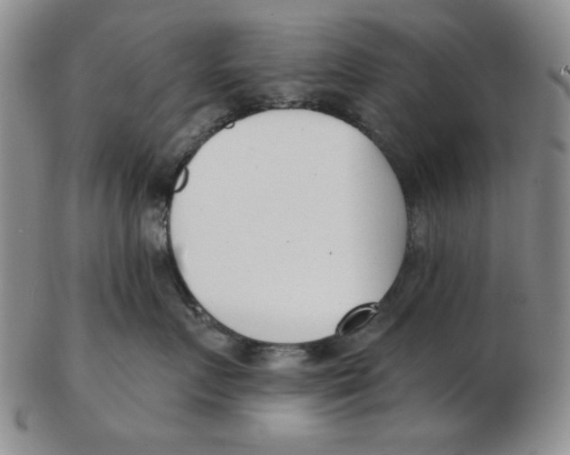 X0000102870719200809081206