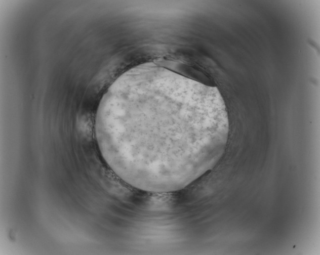 X0000102870720200809081206