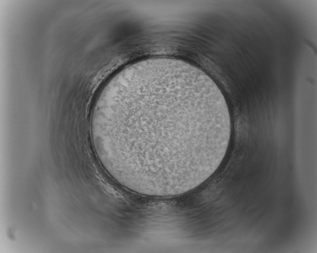 X0000102870721200809081205