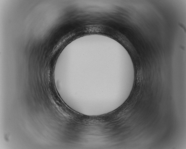 X0000102870722200809081205