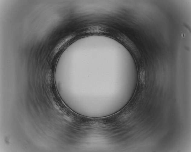 X0000102870724200809081205