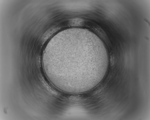 X0000102870725200809081205