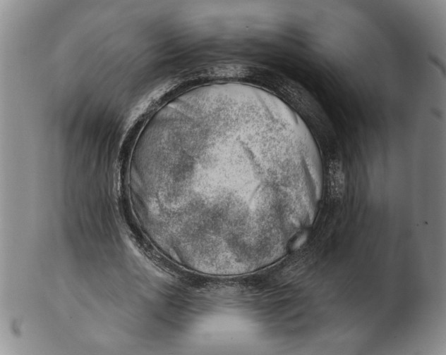 X0000102870726200809081205