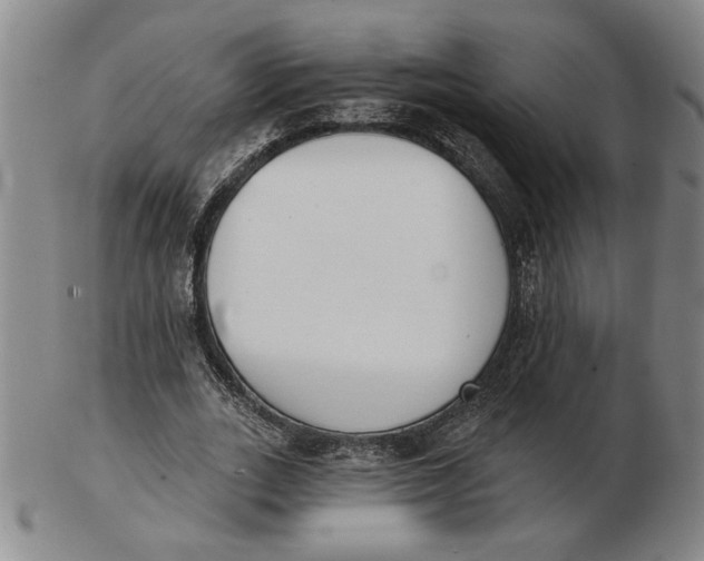 X0000102870727200809081205